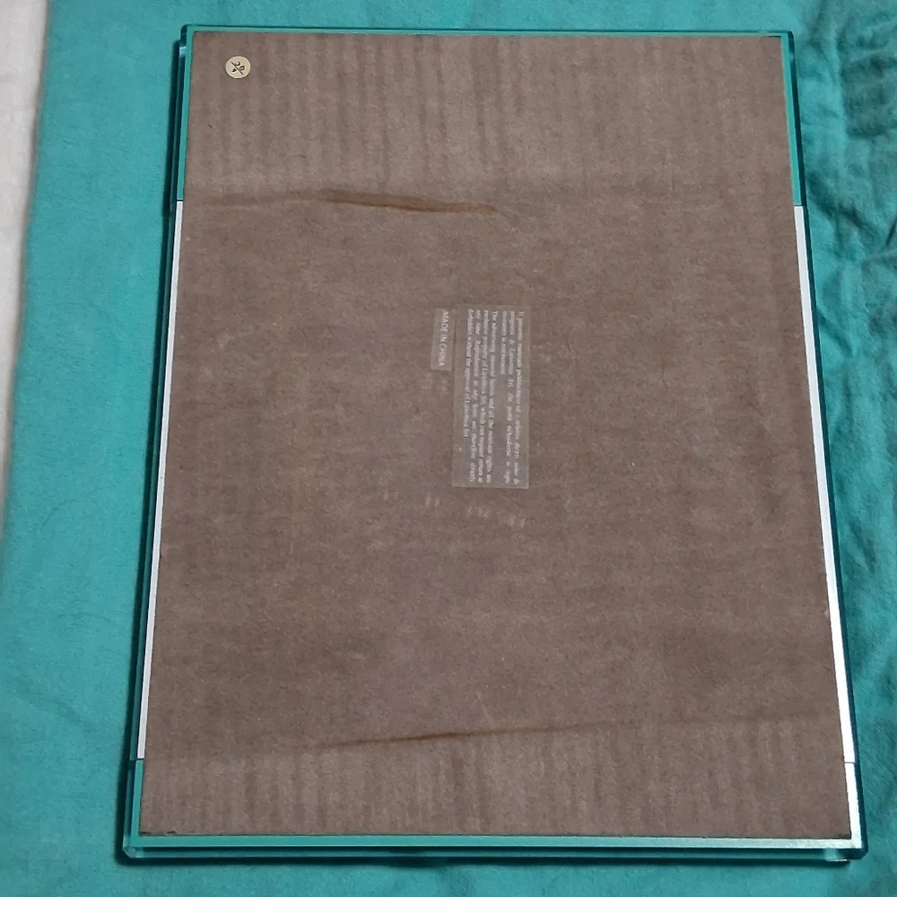 Tiffany & Co X Luxottica Acrylic Display Tray (glorifier) with Dustie.